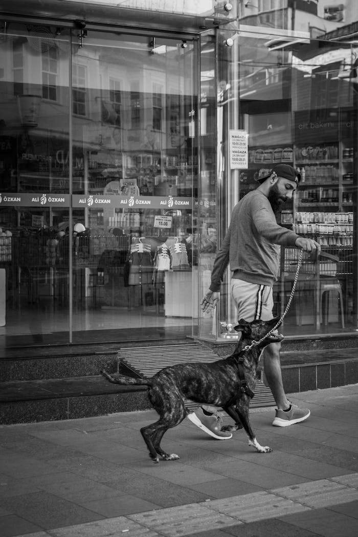 A man walks his dog on an urban sidewalk, showcasing everyday life in a monochrome style.